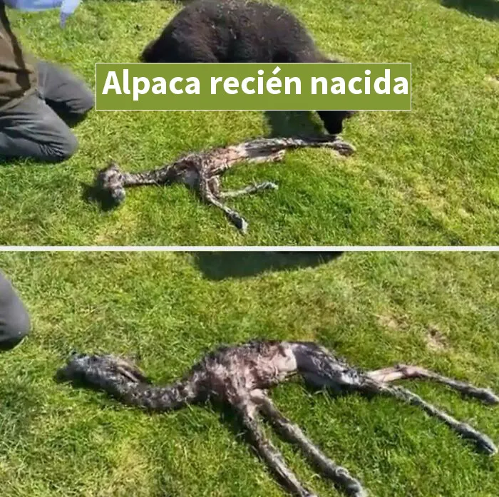20 Publicaciones bastante interesantes que no puedes perderte
