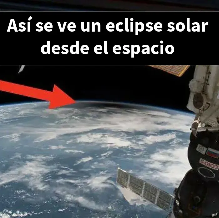 20 Publicaciones bastante interesantes que no puedes perderte