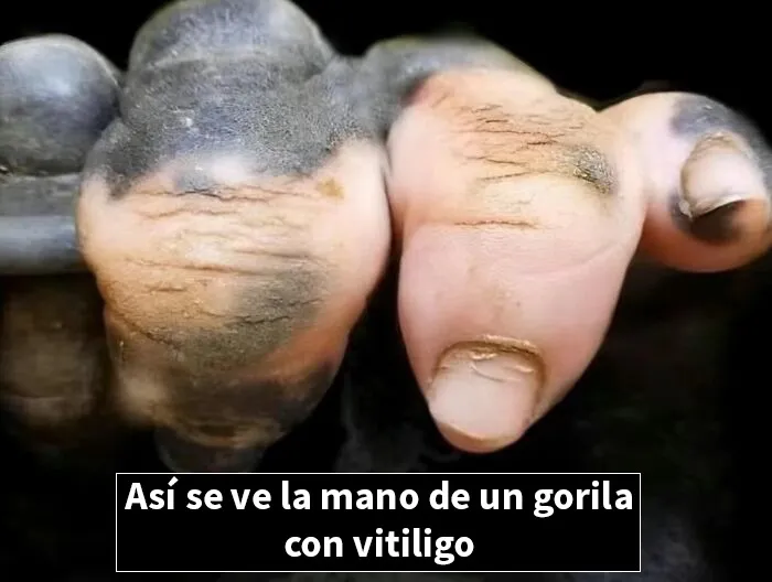20 Publicaciones bastante interesantes que no puedes perderte