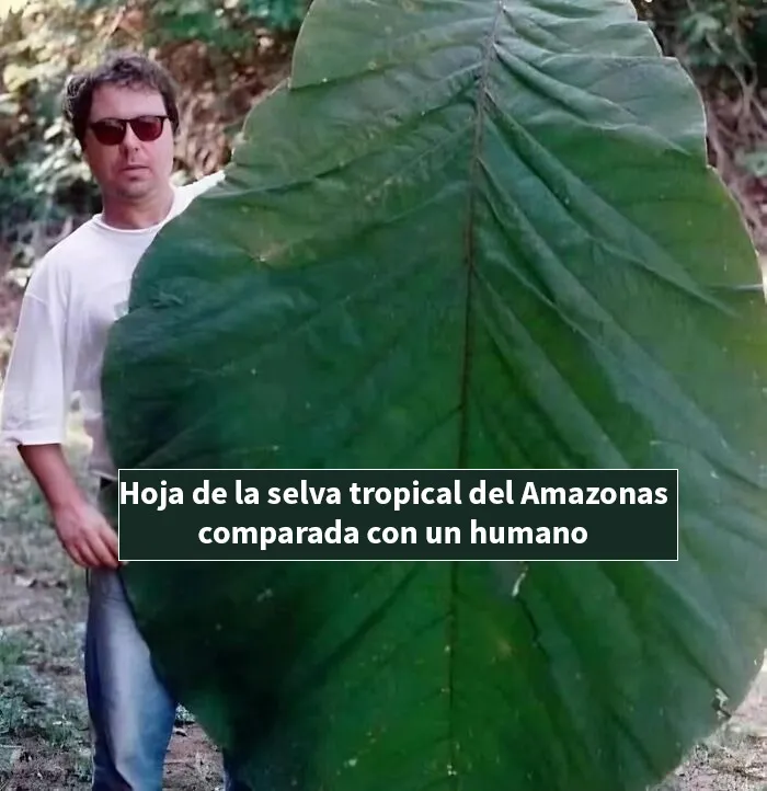 20 Publicaciones bastante interesantes que no puedes perderte