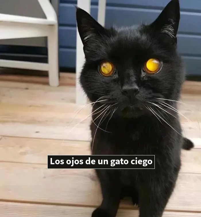 20 Publicaciones bastante interesantes que no puedes perderte