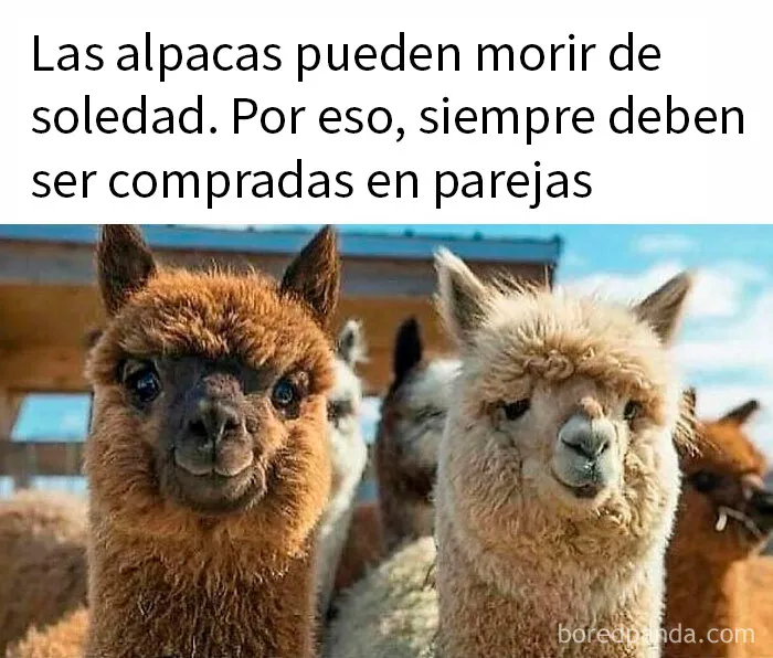 20 Publicaciones bastante interesantes que no puedes perderte