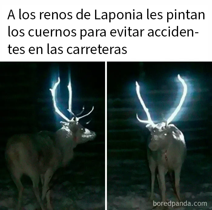 20 Publicaciones bastante interesantes que no puedes perderte