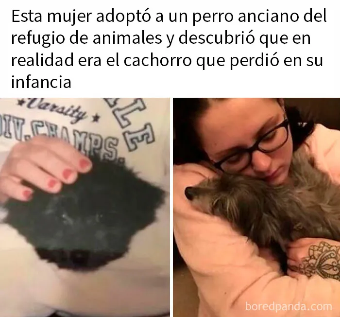 20 Publicaciones bastante interesantes que no puedes perderte