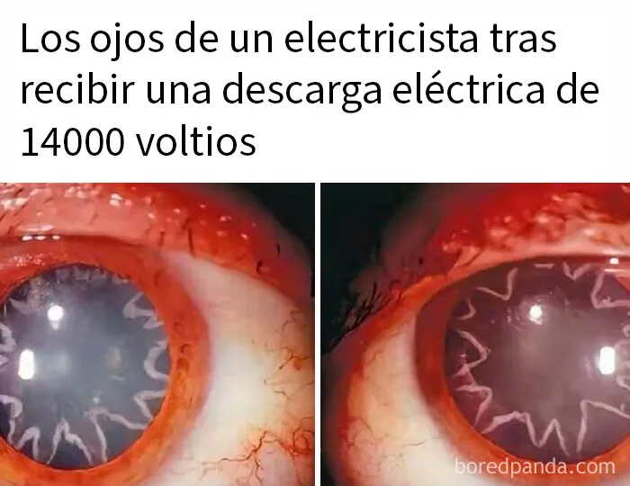 20 Publicaciones bastante interesantes que no puedes perderte