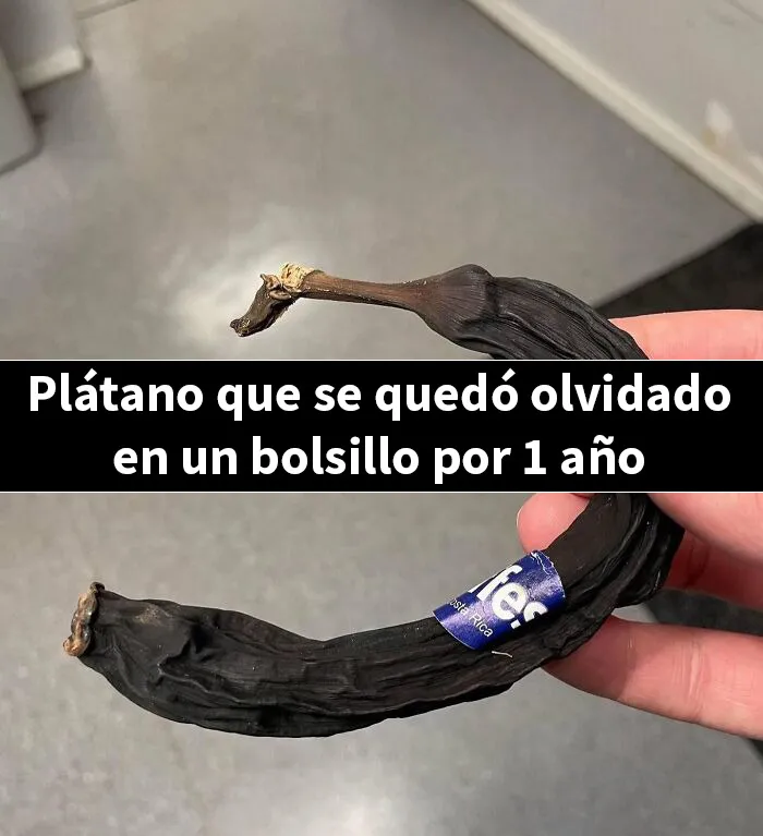20 Publicaciones bastante interesantes que no puedes perderte