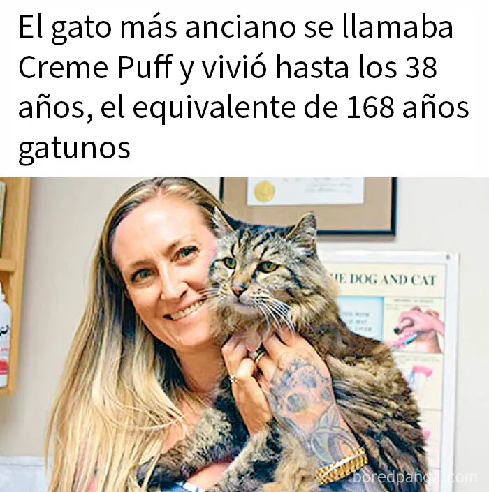 20 Publicaciones bastante interesantes que no puedes perderte
