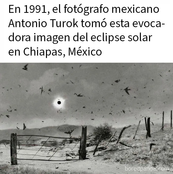 20 Publicaciones bastante interesantes que no puedes perderte