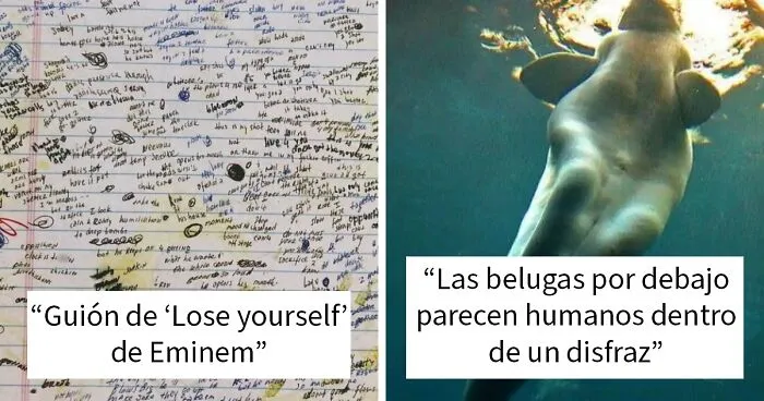 20 Publicaciones bastante interesantes que no puedes perderte