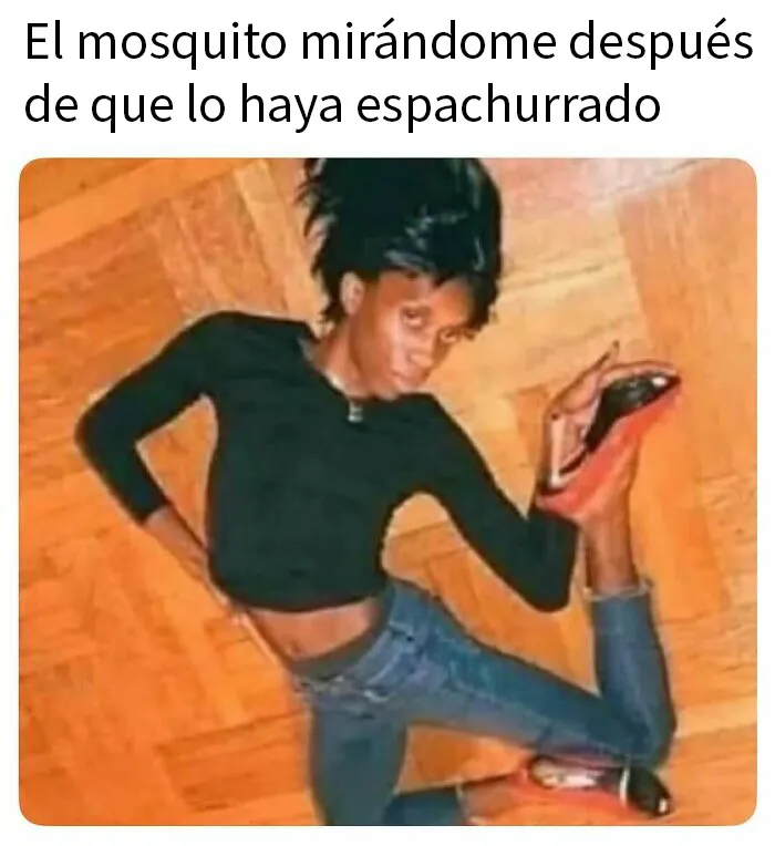 20 Memes divertidos y caóticos para echarse unas risas