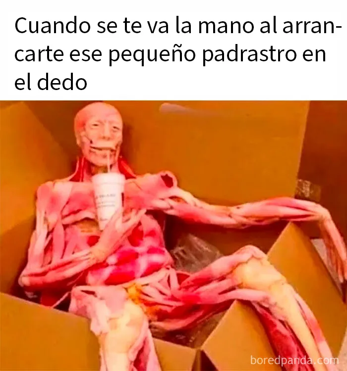 20 Memes divertidos y caóticos para echarse unas risas
