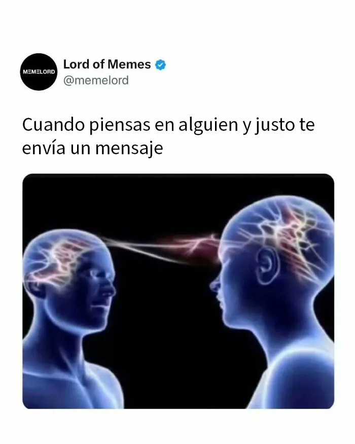 20 Divertidos memes sobre todo y nada para hacerte reír