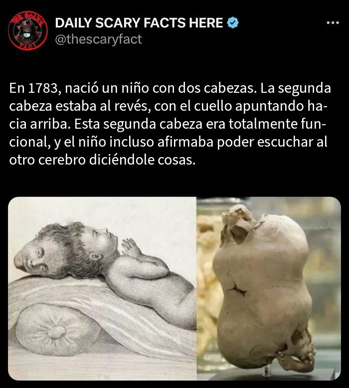 20 Datos terroríficos que no deberías leer a oscuras