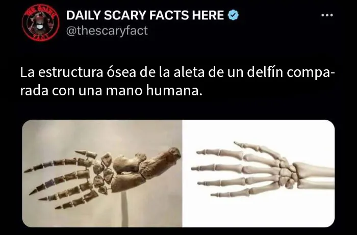 20 Datos terroríficos que no deberías leer a oscuras