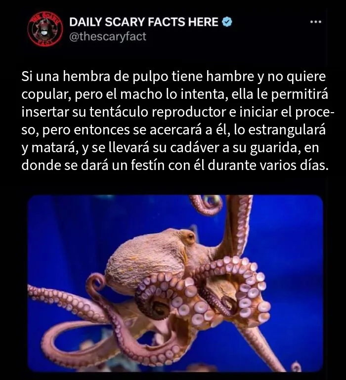 20 Datos terroríficos que no deberías leer a oscuras