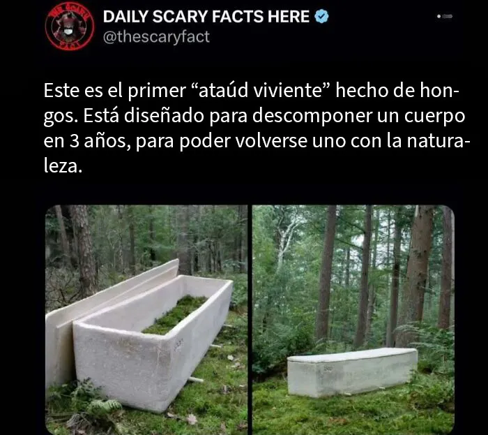 20 Datos terroríficos que no deberías leer a oscuras
