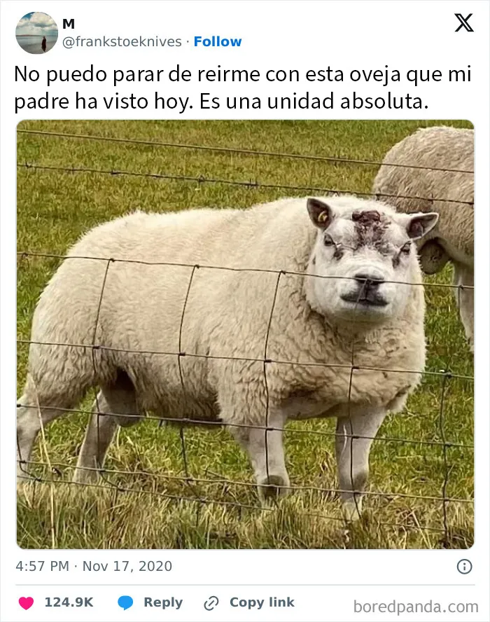 20 Divertidos memes británicos mostrando lo único de su sentido del humor