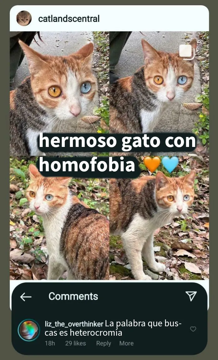 20 Personas que no pillaron la broma y quedaron como tontos en internet