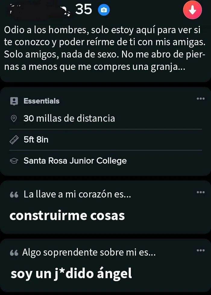 De los peores perfiles que he visto