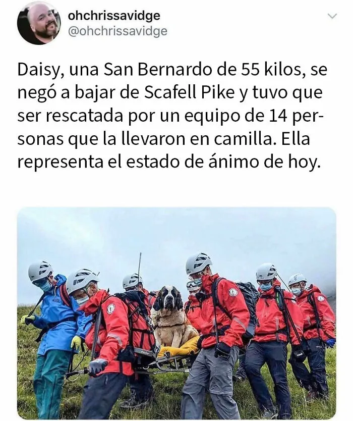 20 Divertidos memes británicos mostrando lo único de su sentido del humor