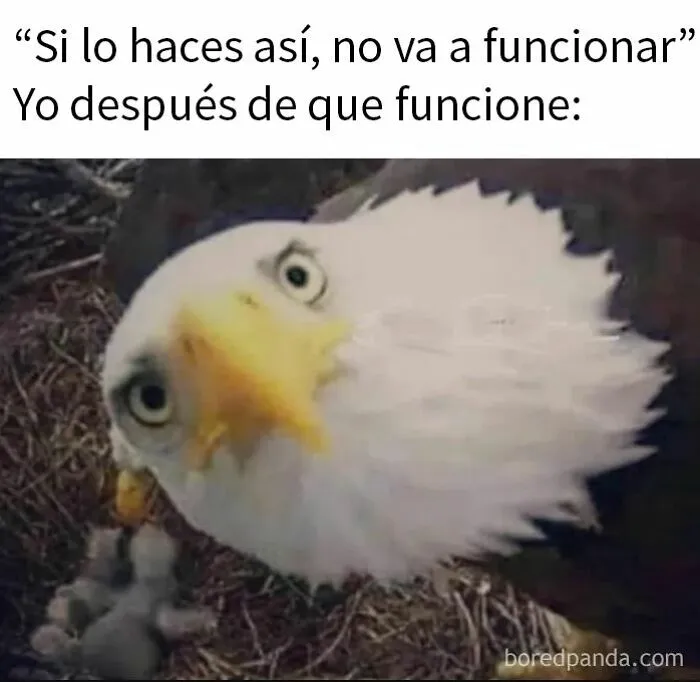 20 Memes divertidos para compartir con tus amigos
