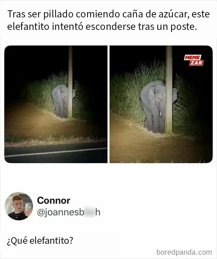 20 Memes divertidos para compartir con tus amigos