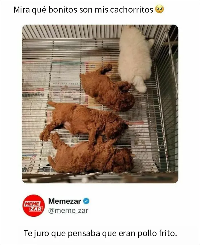 20 Memes divertidos para compartir con tus amigos