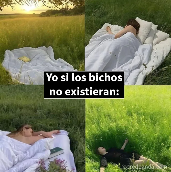 20 Memes divertidos para compartir con tus amigos