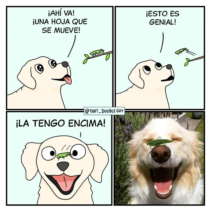 20 Cómics sobre animales creados por varios artistas