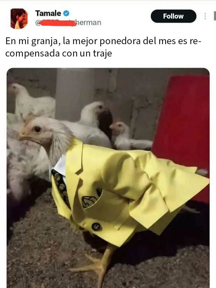 20 Memes divertidos para alegrarte el día