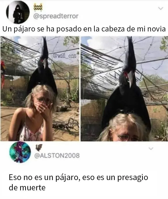 20 Memes divertidos para alegrarte el día