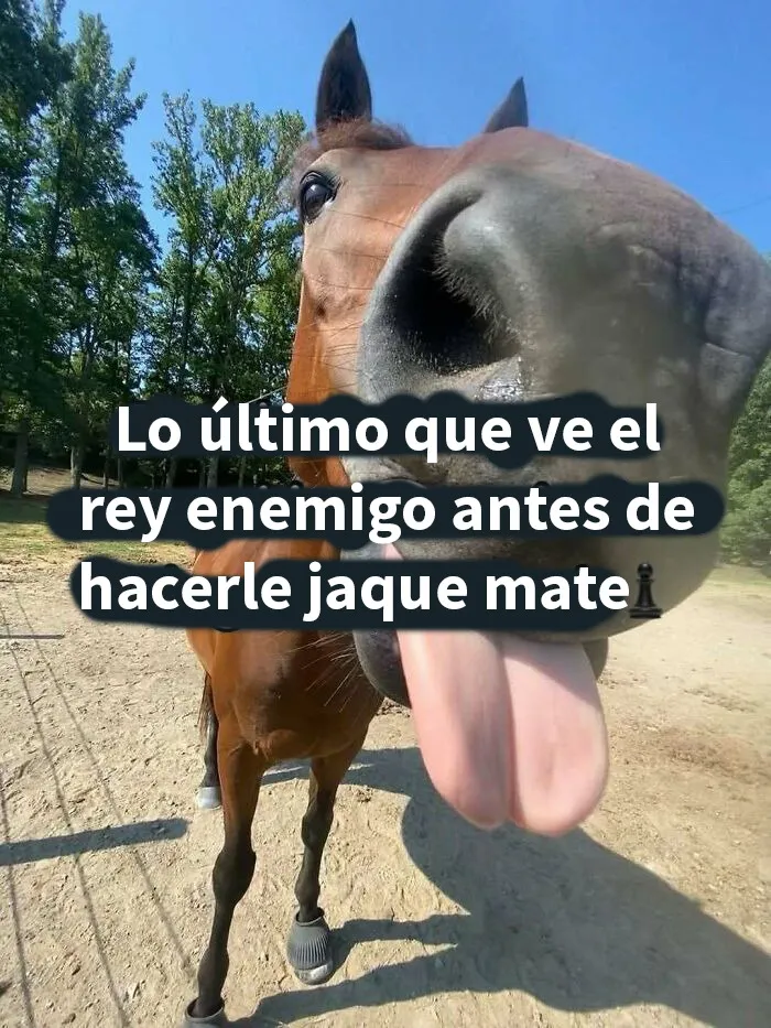 20 Memes divertidos para alegrarte el día