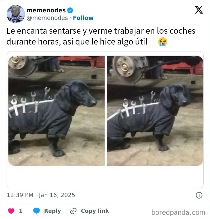 20 Divertidos memes y publicaciones para que no te aburras