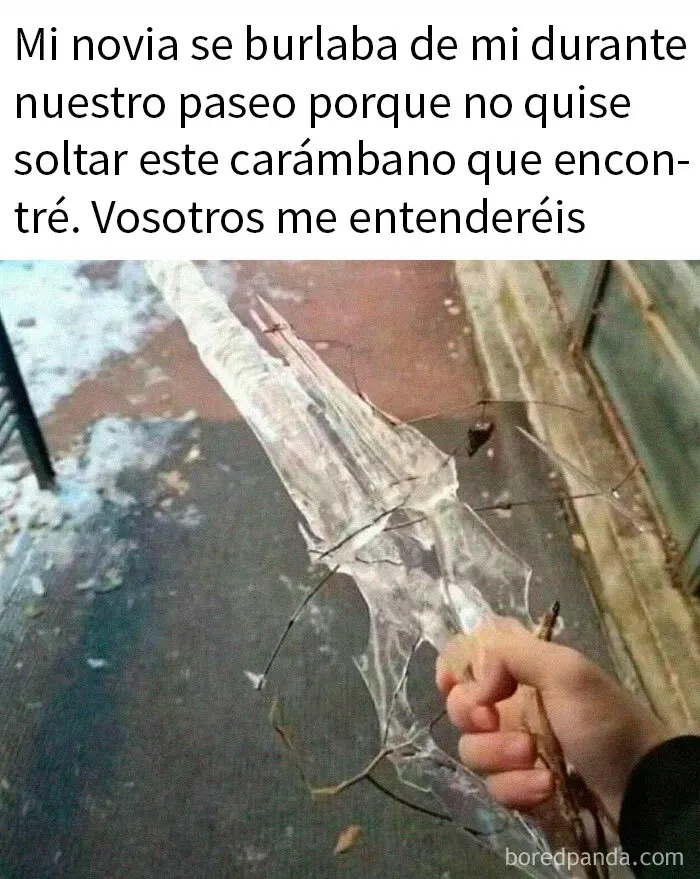 20 Divertidos memes y publicaciones para que no te aburras