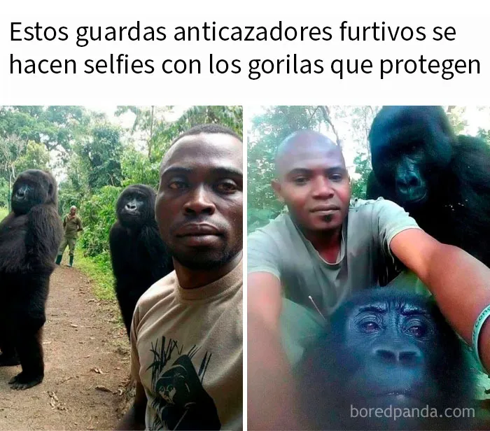20 Divertidos memes y publicaciones para que no te aburras