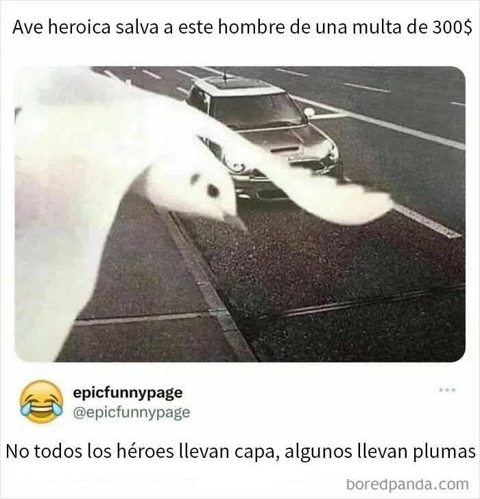 20 Divertidos memes y publicaciones para que no te aburras