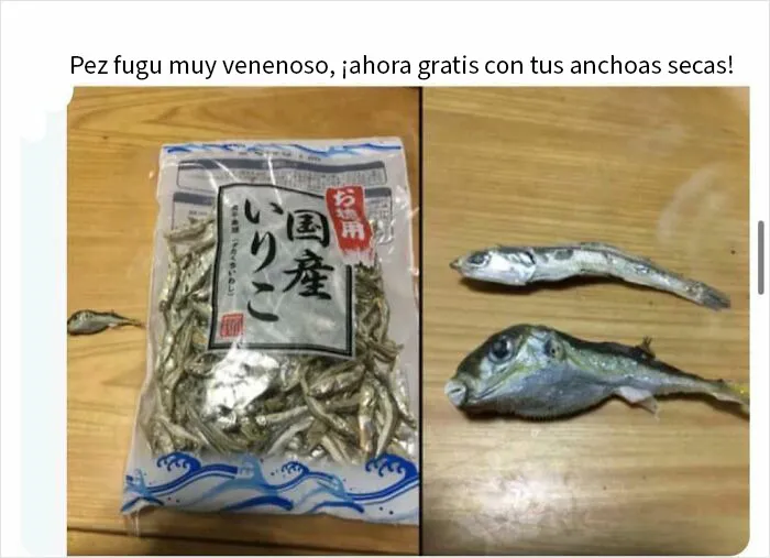 Afortunadamente, la persona que recibió el pescado reconoció el problema, ¡pero los empaquetadores claramente no!