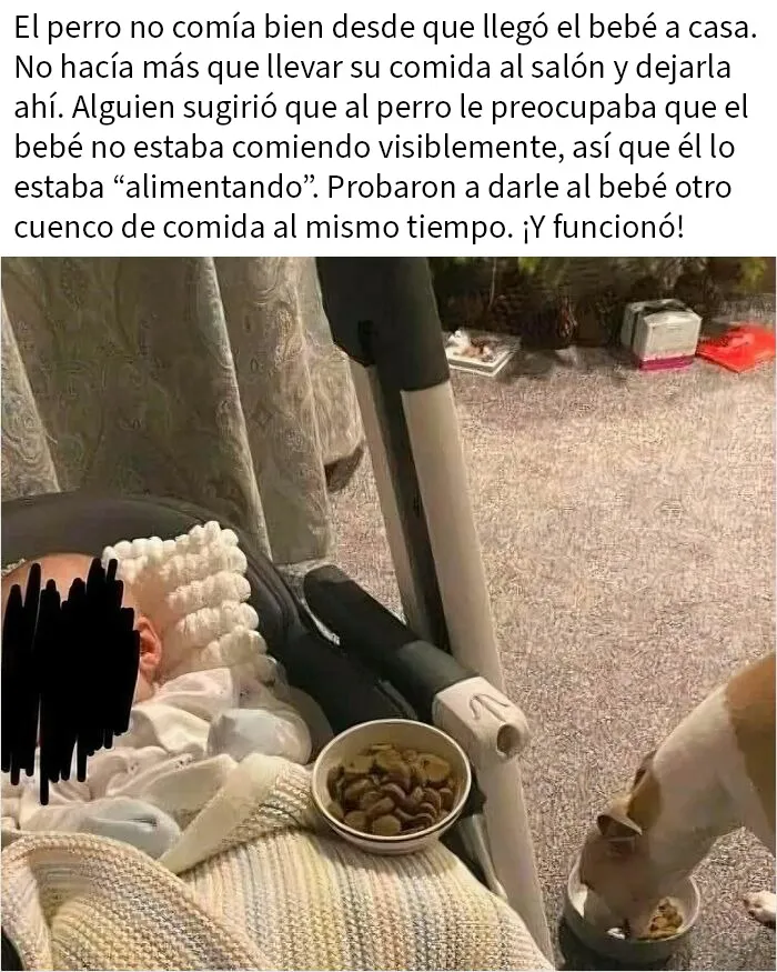 20 Memes divertidos que quizá te resulten familiares