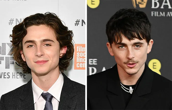 Timothée Chalamet