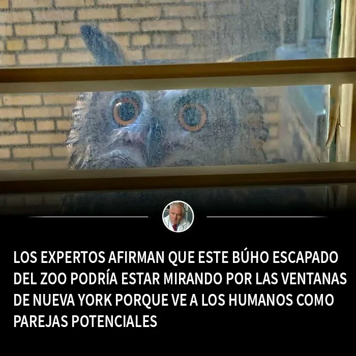 20 Memes divertidos para echarte unas buenas risas