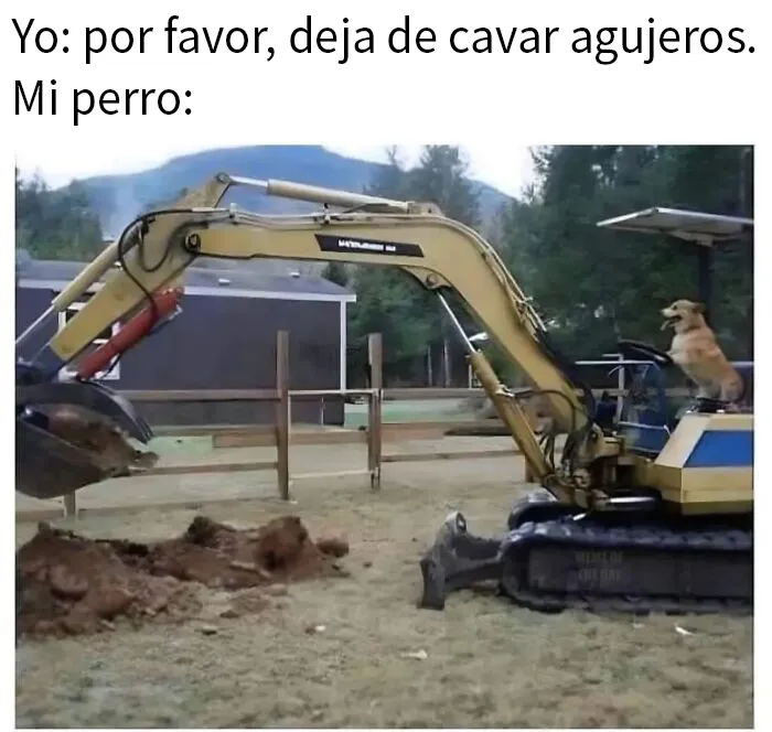 20 Divertidos memes para mostrar que la vida campestre no es tan pacífica como parece