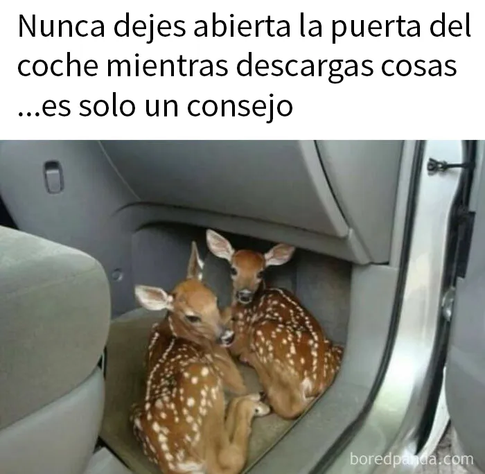 20 Divertidos memes para mostrar que la vida campestre no es tan pacífica como parece