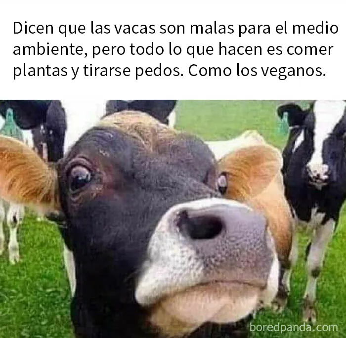 20 Divertidos memes para mostrar que la vida campestre no es tan pacífica como parece