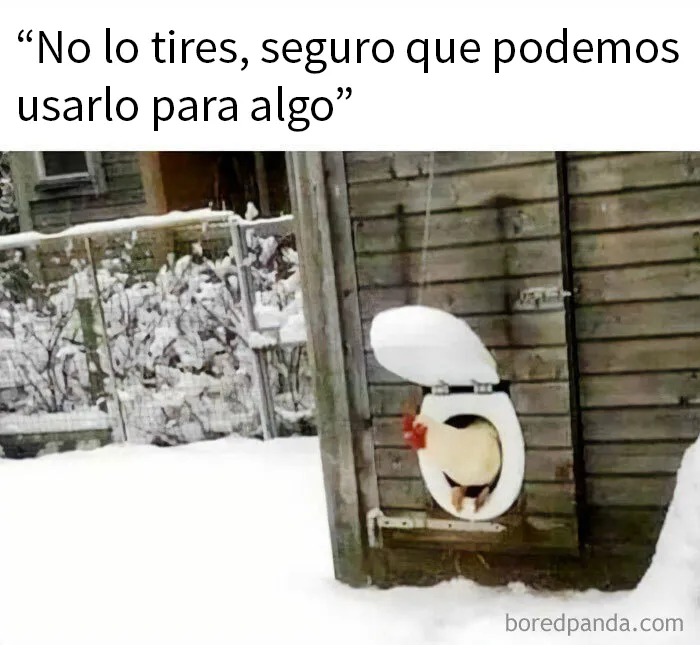 20 Divertidos memes para mostrar que la vida campestre no es tan pacífica como parece