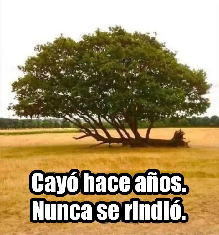 20 Divertidos memes para mostrar que la vida campestre no es tan pacífica como parece