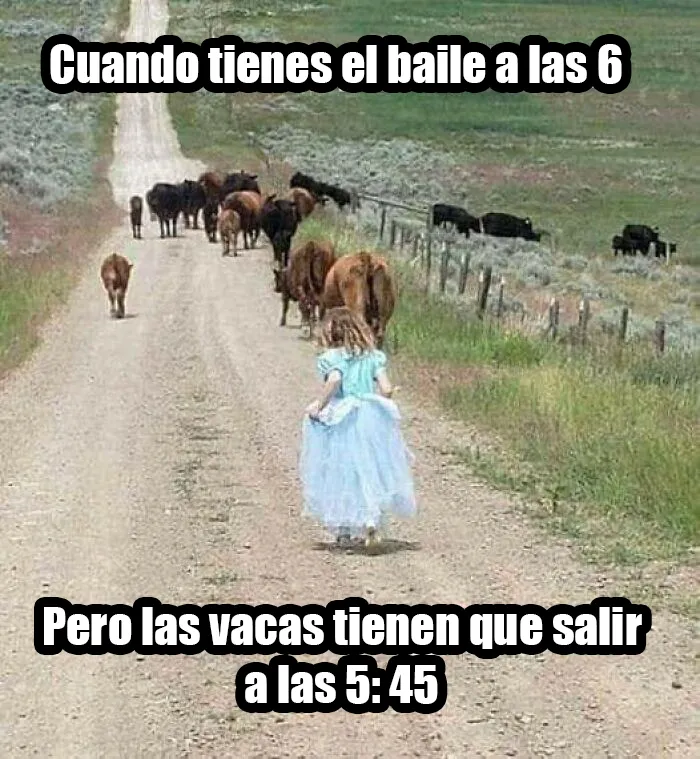 20 Divertidos memes para mostrar que la vida campestre no es tan pacífica como parece
