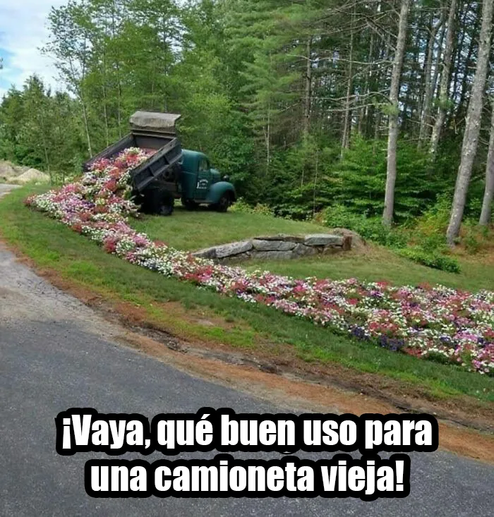 20 Divertidos memes para mostrar que la vida campestre no es tan pacífica como parece