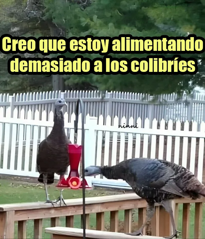 20 Divertidos memes para mostrar que la vida campestre no es tan pacífica como parece