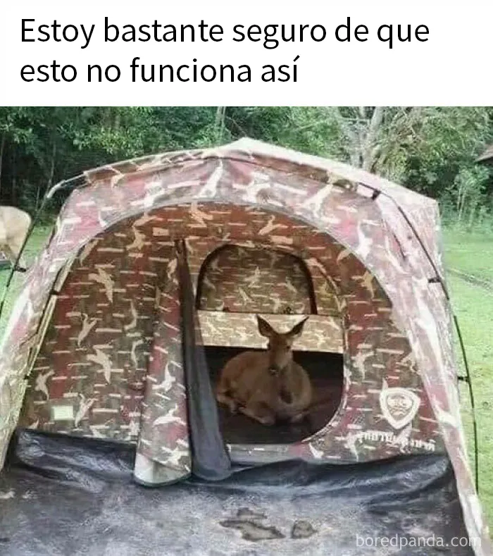 20 Divertidos memes para mostrar que la vida campestre no es tan pacífica como parece