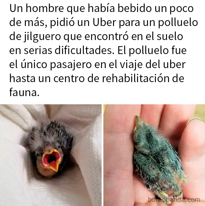 Un héroe